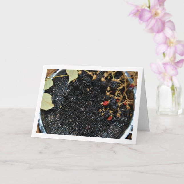 Carte Blackberries en Colander (Orchidée)