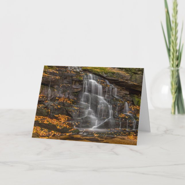 Carte Blackwater Falls State Park (Devant)