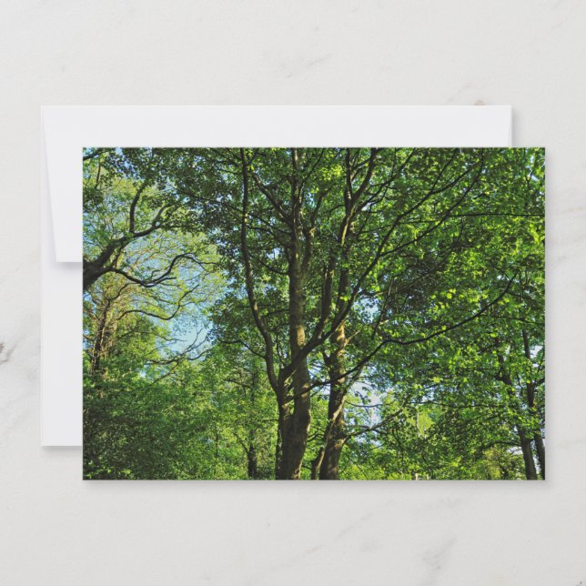 Carte Blackweir Woods, Bute Park, Cardiff Wales (Devant)