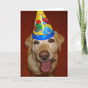 Carte Blanc de Prima- de joyeux anniversaire à