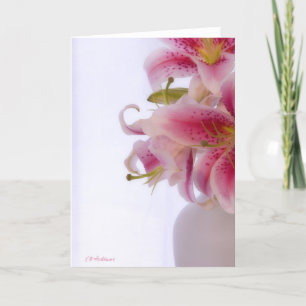 Carte Blanc III d'astronome