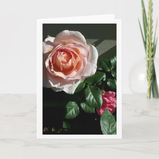 Carte blanche au rose #2 (Devant)