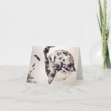 Carte blanche Bat Dreams 2