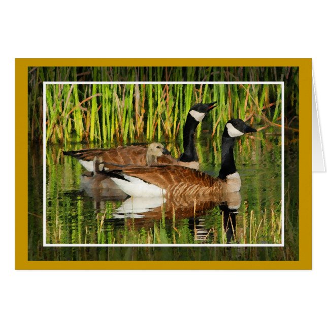 Carte blanche Canada Goose Family (Devant horizontal)
