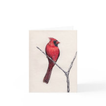 Carte blanche Cardinal Rouge