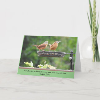 Carte blanche Carolina Wren Pair
