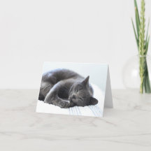 Carte blanche chat gris mignonne