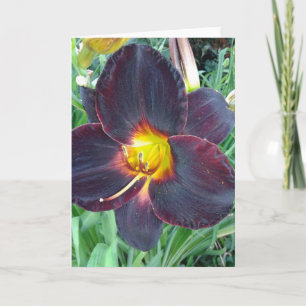 Carte blanche couleur violet foncé