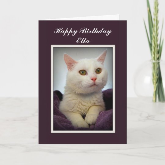 Carte Blanche De Chat De Joyeux Anniversaire Zazzle Fr