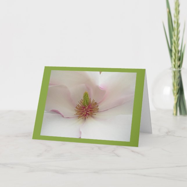 Carte blanche de fleur de carte de fleur de (Devant)