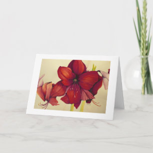 Carte blanche de peinture de frontière d'amaryllis
