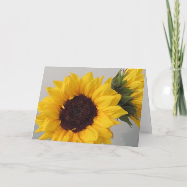 Carte blanche de tournesol (Devant)