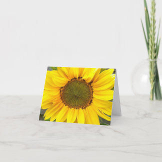 Carte blanche de tournesol