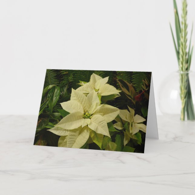 Carte blanche de vacances de poinsettia (Devant)