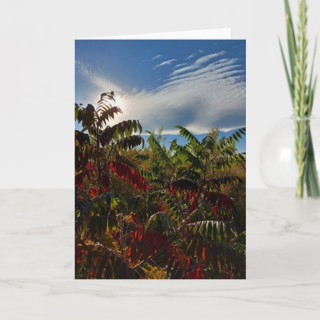 Carte blanche des couleurs d'automne canadiennes (Devant)