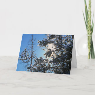 Carte blanche d'hiver