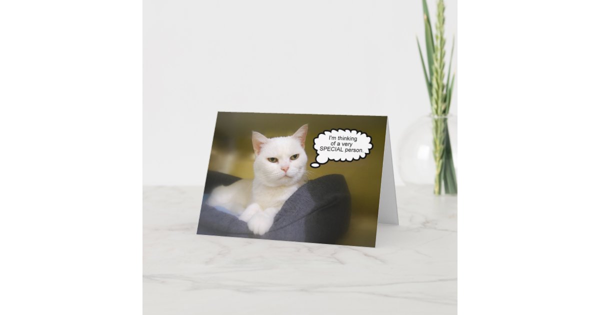 Carte Blanche D Humour D Anniversaire De Chat De Zazzle Fr Carte Blanche D Humour D Anniversaire De Chat De Zazzle Fr