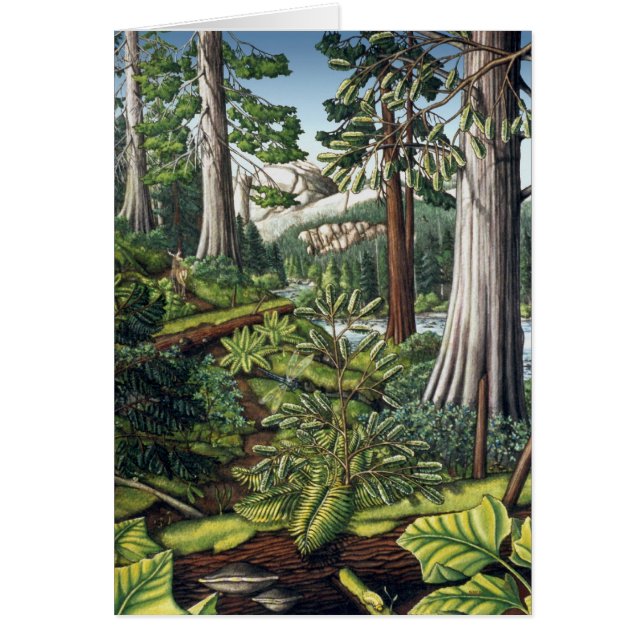 Carte blanche d'impression d'art paysager - Cartes (Devant)