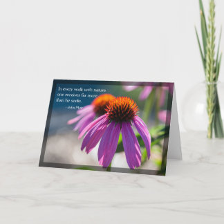 Carte blanche du devis de la nature Echinacea