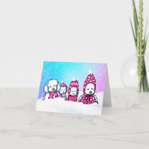 Carte blanche du Maltais d'hiver