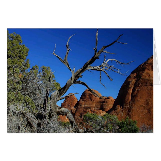 Carte blanche du parc national Arches (Devant horizontal)