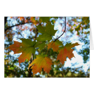 Carte blanche Feuille d'érable