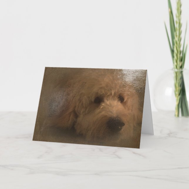 Carte blanche Goldendoodle (Devant)