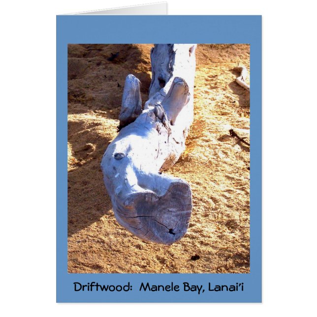Carte blanche Hawaiian Beach Driftwood (Devant)