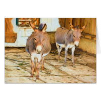Carte blanche Hee Haw Donkeys