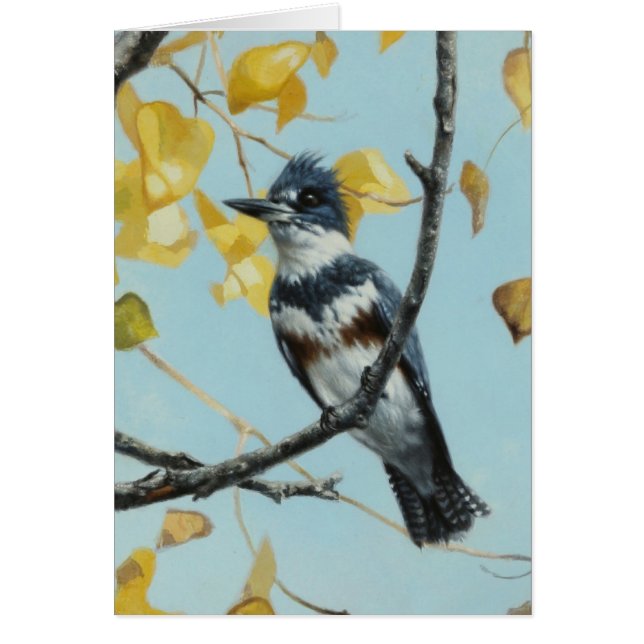 Carte blanche Kingfisher par Andrew Denman (Devant)