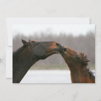 Carte blanche Kissing Horses