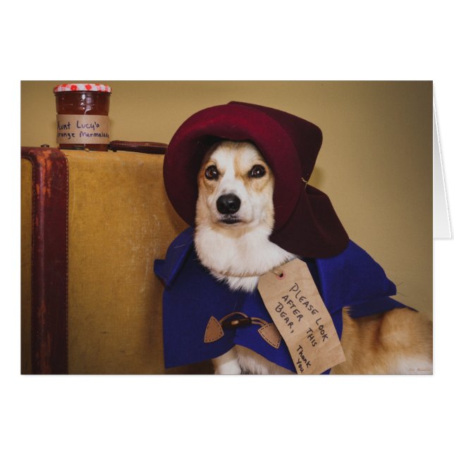 Carte blanche Paddington Corgi (Devant horizontal)