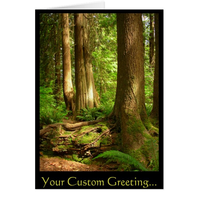 Carte blanche paysage forestier Belle carte d'impr