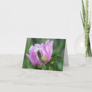 Carte blanche Peony