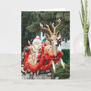 Carte blanche père Noël & Reindeer