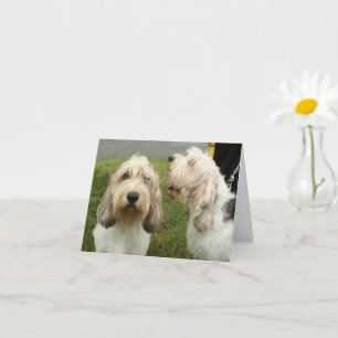 Carte blanche Petit Basette Griffon Vendeen