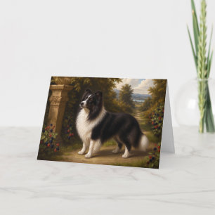 Carte blanche pour chien de berger Shetland Renais
