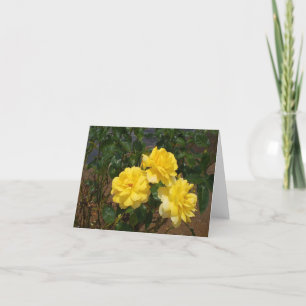 Carte blanche rose jaune