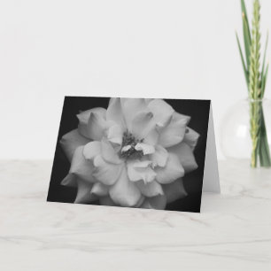 Carte blanche Rose noir et blanc