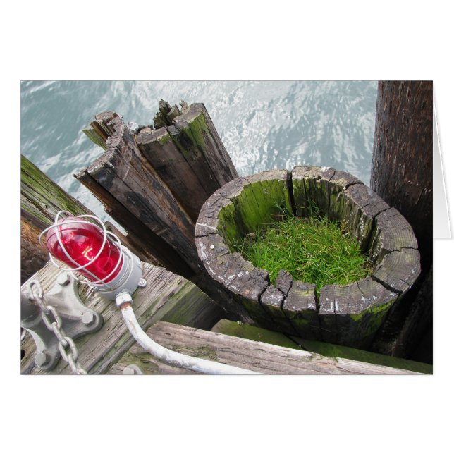 Carte blanche Rouge Lumière et Grass vert (Devant horizontal)