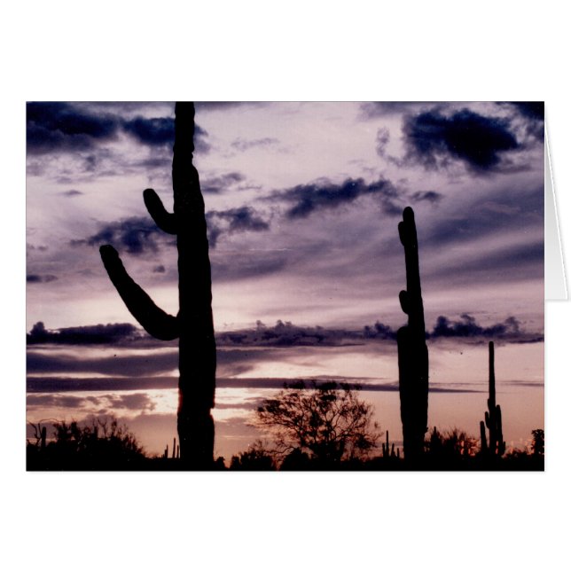 Carte blanche - Saguaro au coucher du soleil (Devant horizontal)