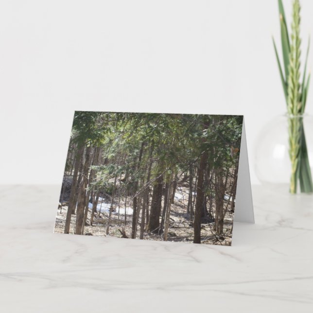 Carte blanche Spring Woods (Devant)