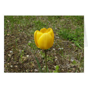 Carte blanche Tulip Jaune