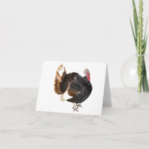 Carte blanche Turquie