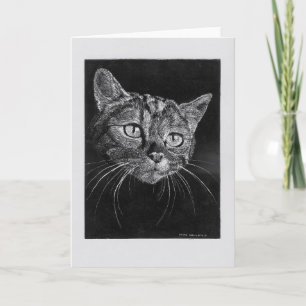 Carte blanche visage de chat.
