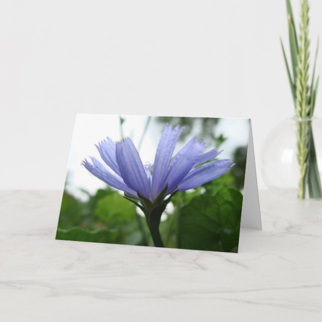 Carte Blank Blue Flower Card (Devant)