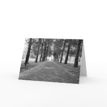 Blank Card - Historic Christ Church