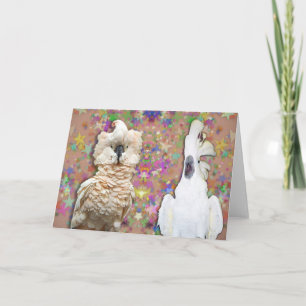 Carte Blank Cockatoo Greeting Card