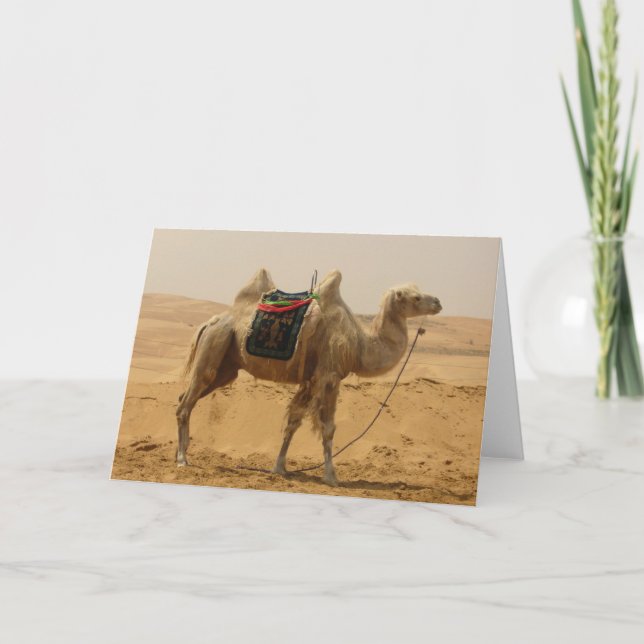 Carte Blank de Camel Désert (Devant)