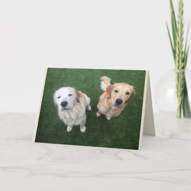 Carte Blank Golden Retriever Greeting Card (Devant)